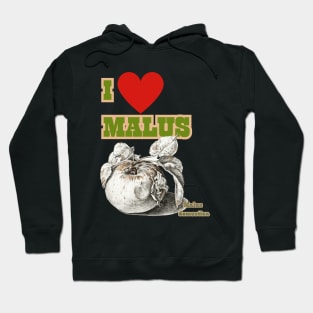 I HEART Malus. Cider and Apple Fan Chant! Hoodie